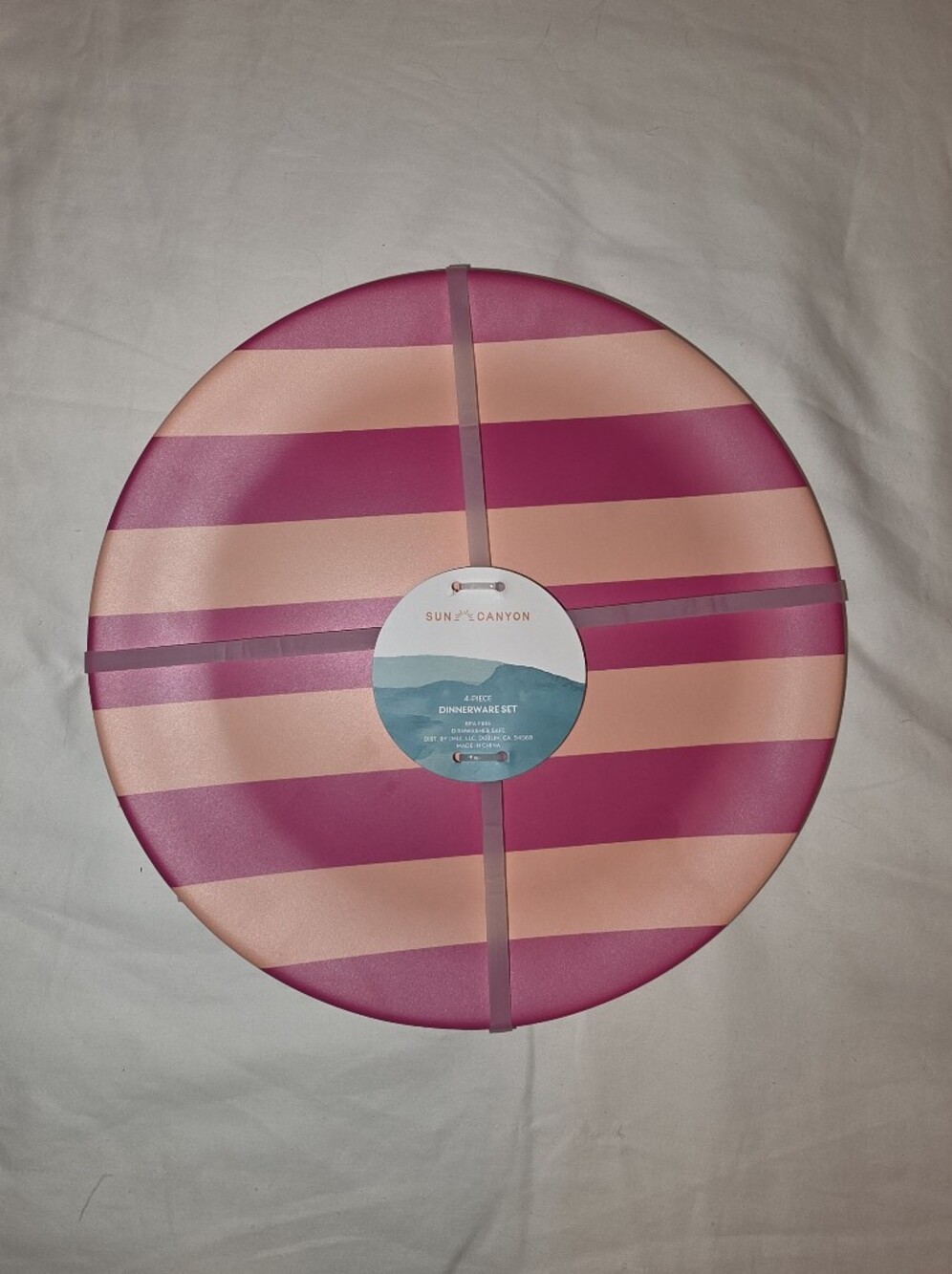 Pink Striped Dinnerware Set - Party Plates - Set Of 4